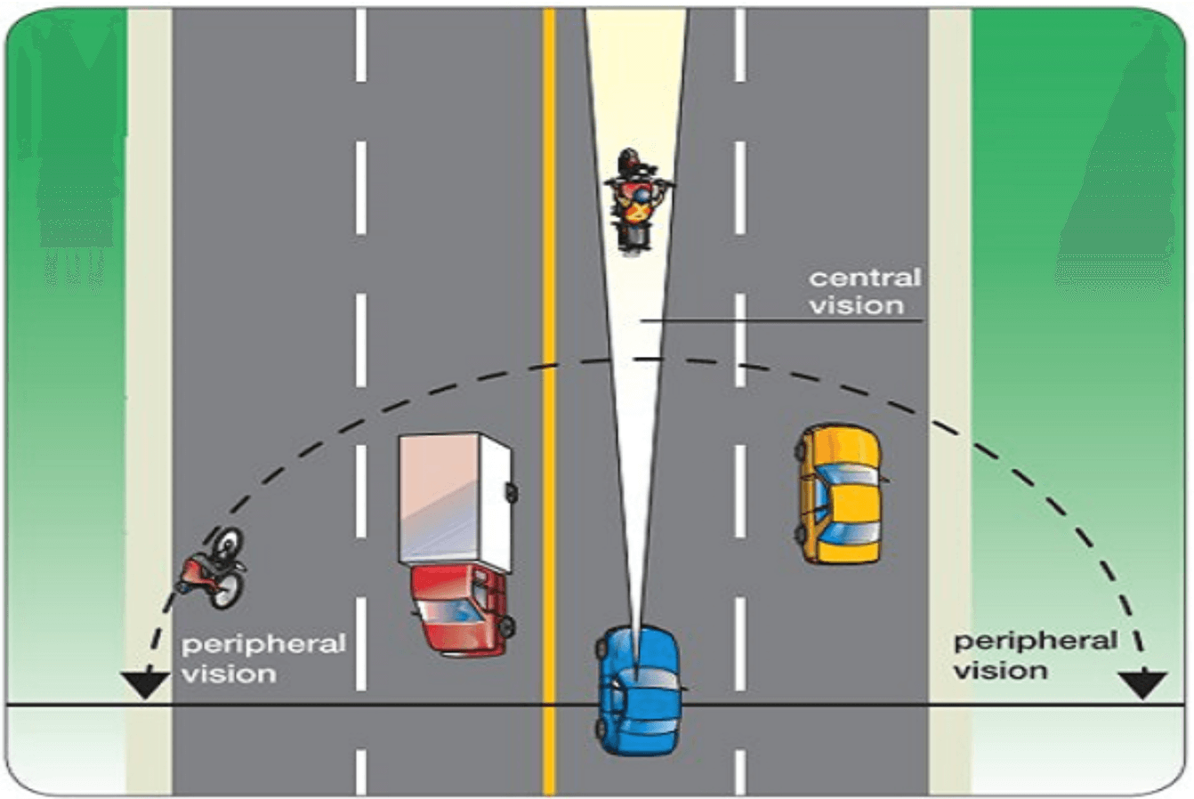 quy tắc khi tham gia giao thông đường bộ