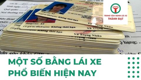 Một số bằng lái xe phổ biến hiện nay