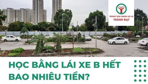 Học bằng lái xe B hết bao nhiêu tiền?