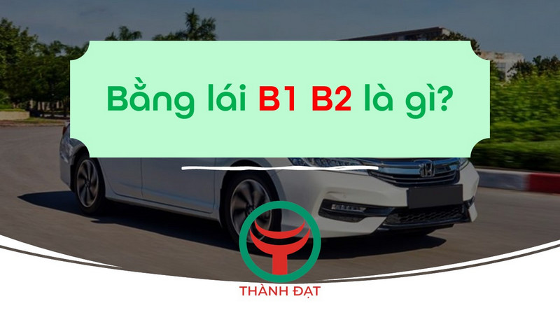 Bằng lái xe ô tô B1 B2 là gì?