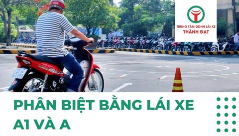 Xe thi thực hành bằng A1: xe số phổ thông, dễ điều khiển