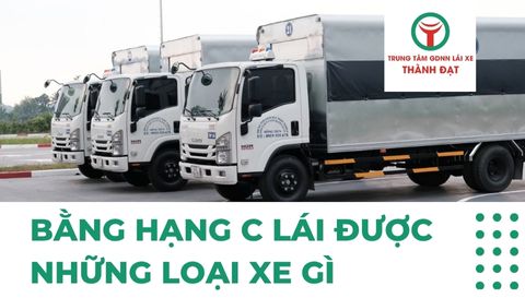 Bằng hạng C lái được những loại xe gì