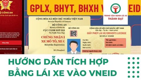 Hướng dẫn tích hợp bằng lái xe vào VNeID năm 2025 chi tiết nhất